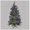 EMOS D4BM05 LED Christmas chain - hedgehog, 7,2 m, indoor and outdoor, multicolor, programs, timer
