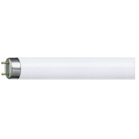 Fluorescent tube t8 TL-D 58W 4000°K Philips