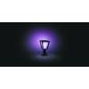massive-17441-30-p7-hue-led-white-and-color-ambiance-venkovni-sloupkove-svitidlo-philips-econic-cerne-32m-2200k-6500k-rgb-8718696170595-7-8718696170595-57782-(8).jpg