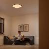 massive-32810-31-p0-led-stropni-svitidlo-philips-canaval-sceneswitch-bile-30cm-8718696169308-10-8718696169308-51990-(11).jpg