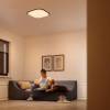 massive-32810-31-p0-led-stropni-svitidlo-philips-canaval-sceneswitch-bile-30cm-8718696169308-9-8718696169308-51990-(10).jpg