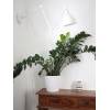 nordlux-rbazsv-sessak-bazar-2827660-5007-stylova-nastenna-kloubova-lampa-42w-bila-7391741276629-1-7391741276629-54648-(2).jpg