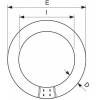 Philips MASTER TL-E Circular Super 80 22W/840 kruhová zářivka