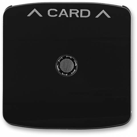 ABB 3559A-A00700 N Kryt spínače kartového, s čirým průzorem černá
