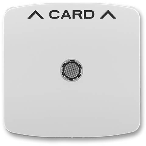 ABB 3559A-A00700 S Kryt spínače kartového, s čirým průzorem šedá