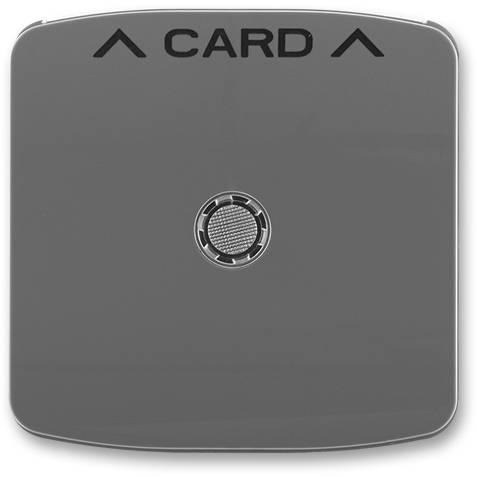 ABB 3559A-A00700 S2 Kryt spínače kartového, s čirým průzorem kouřová šedá