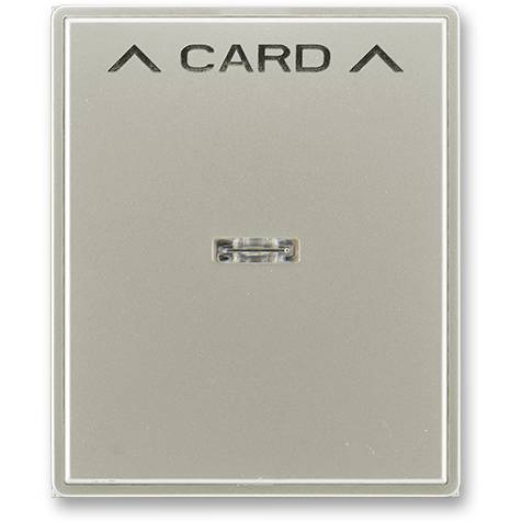 ABB 3559E-A00700 32 Time Kryt spínače kartového starostříbrná