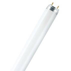 Osram LUMILUX T8 L 58W/880 SKYWHITE G13 lineární zářivka