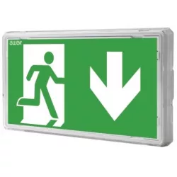 EXIT S 1W IP65 LED nouzové svítidlo 1h s piktogramem 120lm